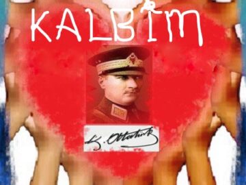 SosyalDöngü Platformu